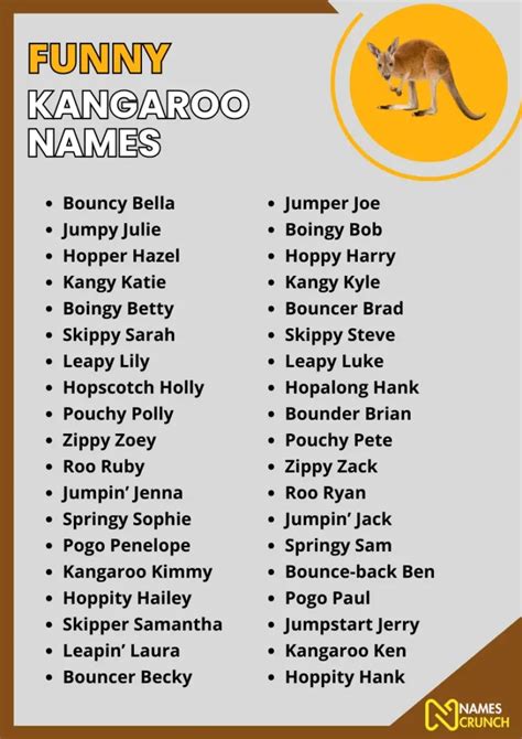 320+ Funny Kangaroo Names - Names Crunch