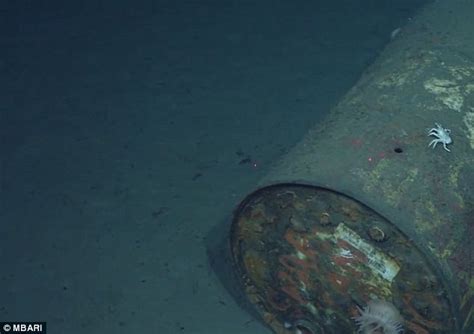 Our Deep Sea Garbage Dump 18 000 Hours Of Footage Shows Pacific