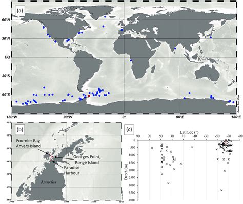 A Global Distribution Of Documented Records Of Stygiomedusa Gigantea