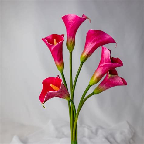 Fuchsia Small Calla Lily Realistic Artificial Flowers