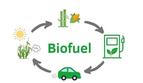 Project Report: Setting up a Biofuel Manufacturing Plant - Syndicated Analytics