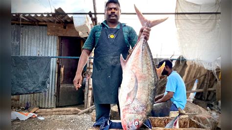 Kasimedu Speed Selvam Big Size Trevally Fish Cutting Video In