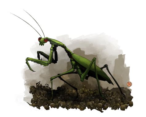 Image Huge Praying Mantis Warriors Of Myth Wiki Fandom