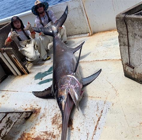 Swordfish – Fishadelphia
