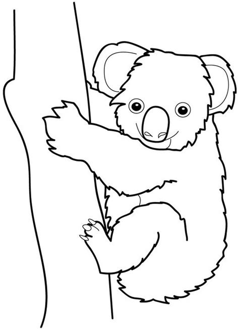 Baby Koala Coloring Pages at GetDrawings | Free download