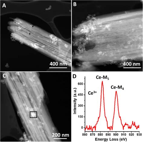 A C High Angle Annular Dark Field Scanning Transmission Electron