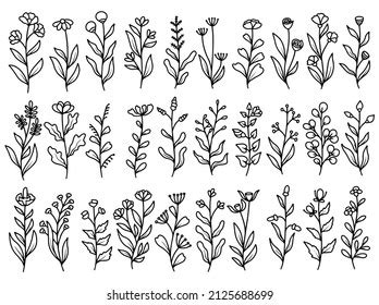 Hand Drawn Flower Sketch Line Art Stock Vector Royalty Free