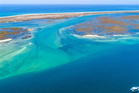 Neste Passeio Pela Ria Formosa Pode Apanhar Lingueir O E Saborear