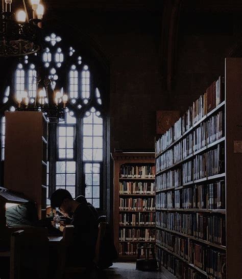 Pin By Jrdrake On Bibliophile Books Dark Aesthetic Dark Academia