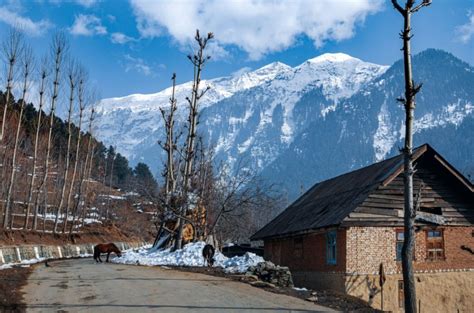 Baisaran-Pahalgam in Kashmir | Indiano Travel