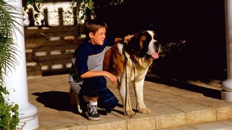 beethovens       stream  reelgood