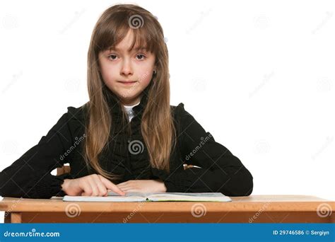 Clever Girl Stock Photo Image Of People Education Portrait 29746586