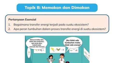 Kunci Jawaban Ipas Kurikulum Merdeka Kelas 5 Halaman 56 Transfer