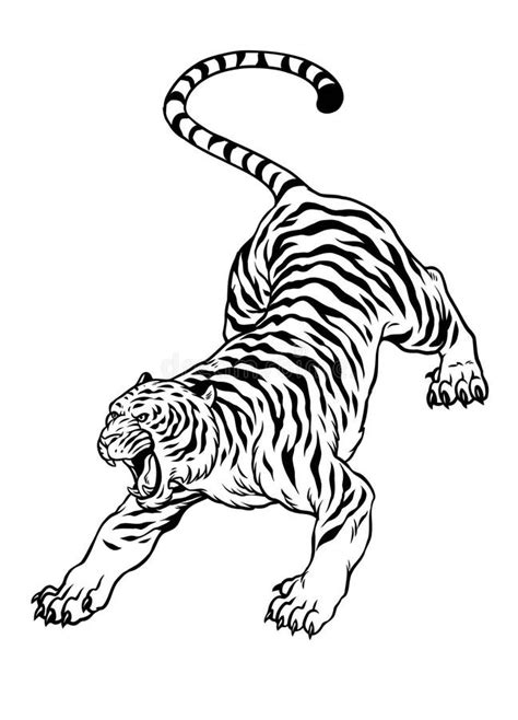 Tigre Blanco Y Negro Dibujado a Mano Y Enfurecido Ilustración del