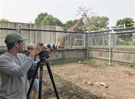 Filming at the Entebbe Zoo: Permits & Permission to Filming at UWEC