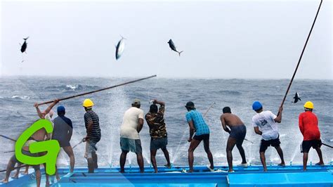 Catching Tuna Maldivian Style Youtube