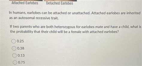 SOLVED: Attached Earlobes Detached Earlobes In humans, earlobes can be attached or unattached ...