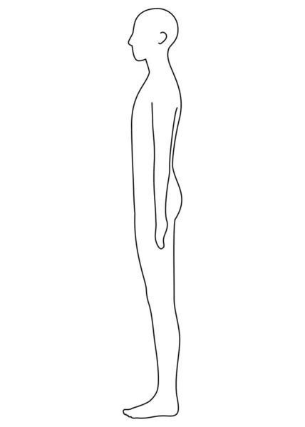 Human Body Outline Side View