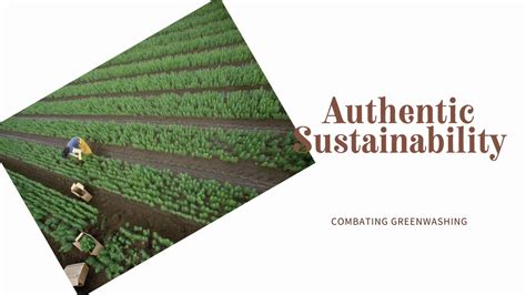 Understanding And Combating Greenwashing A Call For Authentic