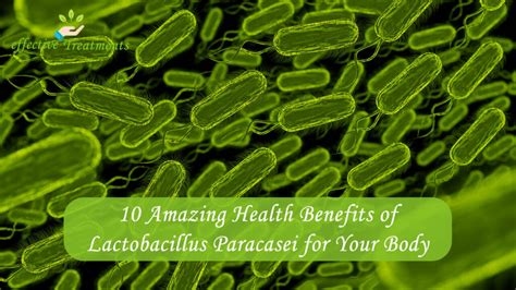 10 Amazing Health Benefits Of Lactobacillus Paracasei For Your Body