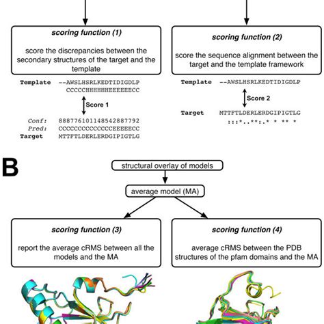 A Schematic Flow Chart Of The Homology Modeling Method Example Of The