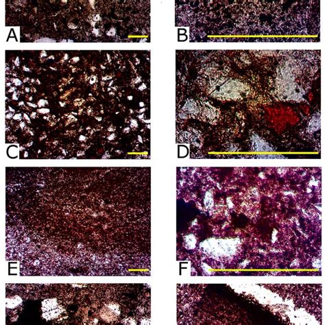 Photomicrographs Of Thin Sections Of The Old Rus Group Ceramics A B