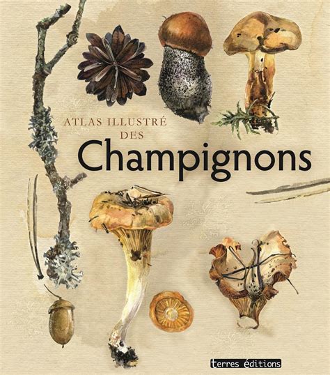 Atlas illustré des champignons Collectif Collectif Librairie Eyrolles