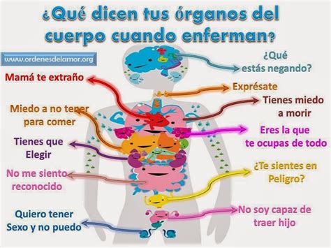 Qué dicen los órganos de tu cuerpo cuando se enferman