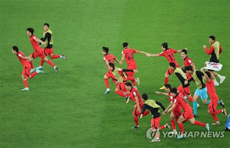 스포츠 월드컵 16강 대진표 완성한국은 브라질 한국경제