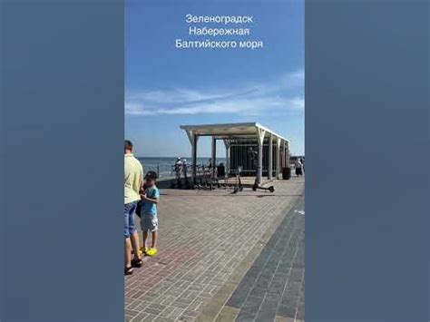 Зеленоградск. Набережная Балтийского моря. Городской парк. Музей кошек ...