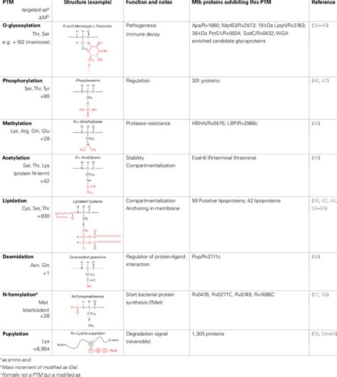 Post Translational Modifications In The Mtb Proteome Download Table