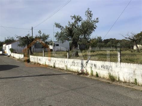 Terreno rústico em Aldeia 1 600m2 junto ao Rio Tejo Abrantes