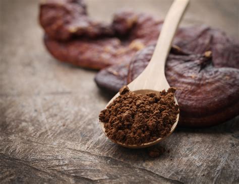 Adaptogen Mushroom Drink Benefits Are Taking Over The Health World - RYZE Superfoods