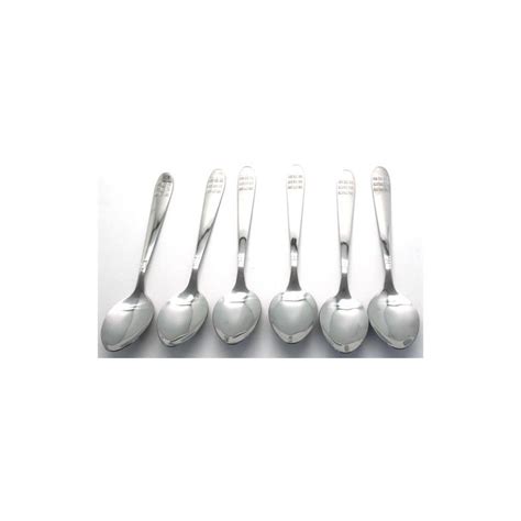 Casey Catering 6 Piece Stainless Steel Dinner Table Spoons Set Geewiz