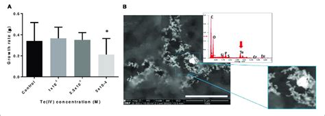 | Impact of tellurite in bacterial growth and tellurite reduction. (A ...