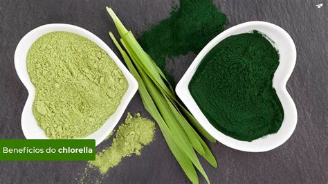 Chlorella Conheça esse super alimento YouTube