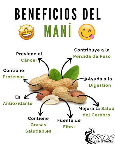 BENEFICIOS DEL MANÍ Frutas y verduras beneficios Beneficios de