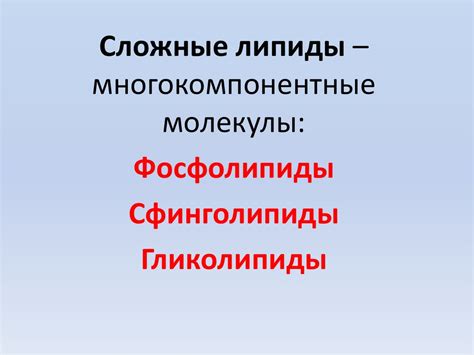 Липиды - презентация онлайн