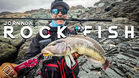 Jornada Rock Fish Tips Aventuras De Pesca Youtube