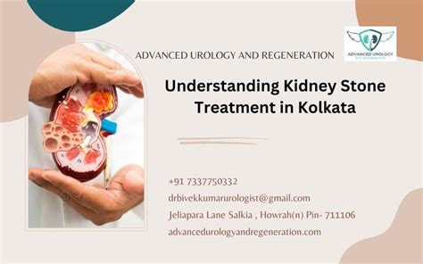 Navigating Kidney Stone Treatment Options In Kolkata By Bivek Kumar