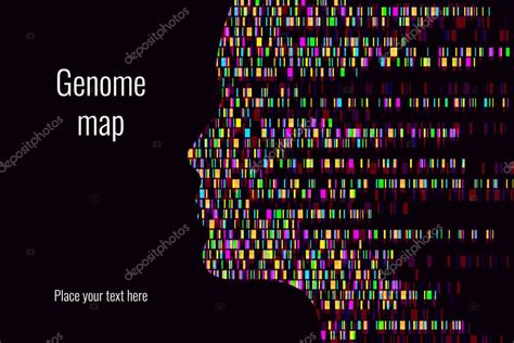 Infografía de prueba de ADN Ilustración vectorial Mapa de secuencia