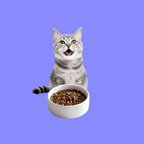 Dry Cat Food Archives - PET.COM.BD