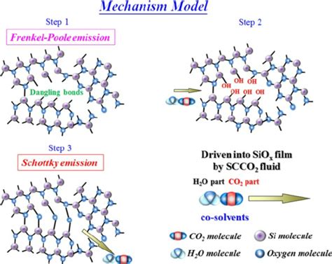 The Schematic Diagram Of Hydration Dehydration Reaction Mechanism On