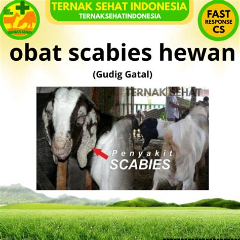 Jual Obat Scabies Gudig Hewan Obat Anti Parasit Kutu Caplak Pinjal