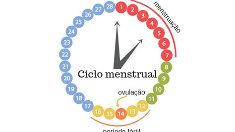 Posso Ficar Grávida Se Fizer Sexo Um Dia Depois Da Menstruação Amor