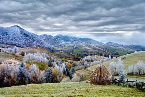 Cena Em Rom Nia Paisagem Bonita Do Inverno De Montanhas Carpathian