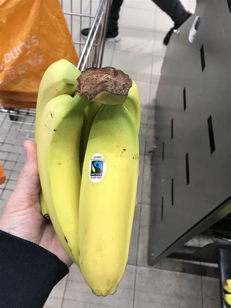 Weird Shaped Banana Pics