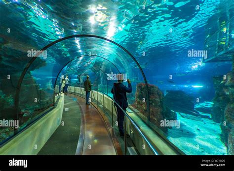 Barcelona, Spain- 10 November 2014: People visiting the aquarium, path ...