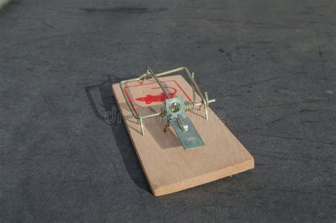 Mouse Trap Stock Image Image Of Metal Machine Bark 35145855