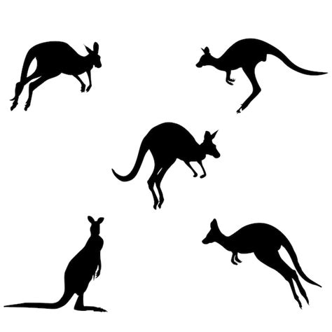 Premium Vector Vector Kangaroo Icons Collection
